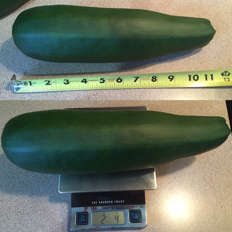 Life at One Forty One Giant Zucchini